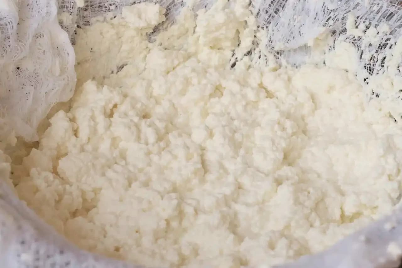 Domowy ser ricotta