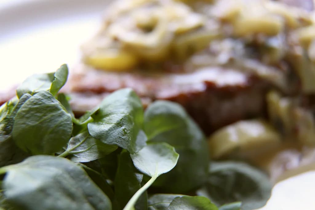 Pork with creamy leek and mustard sauce