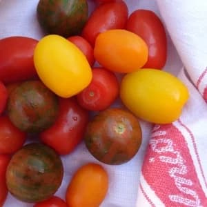Sałatka z pomidorów i bocconcini z dressingiem bazyliowym